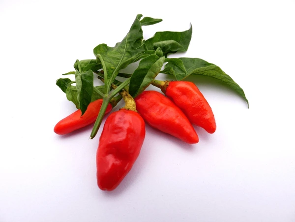 Cayenne Fruit